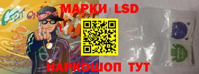 a pvp Славгород
