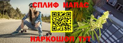 a pvp Славгород