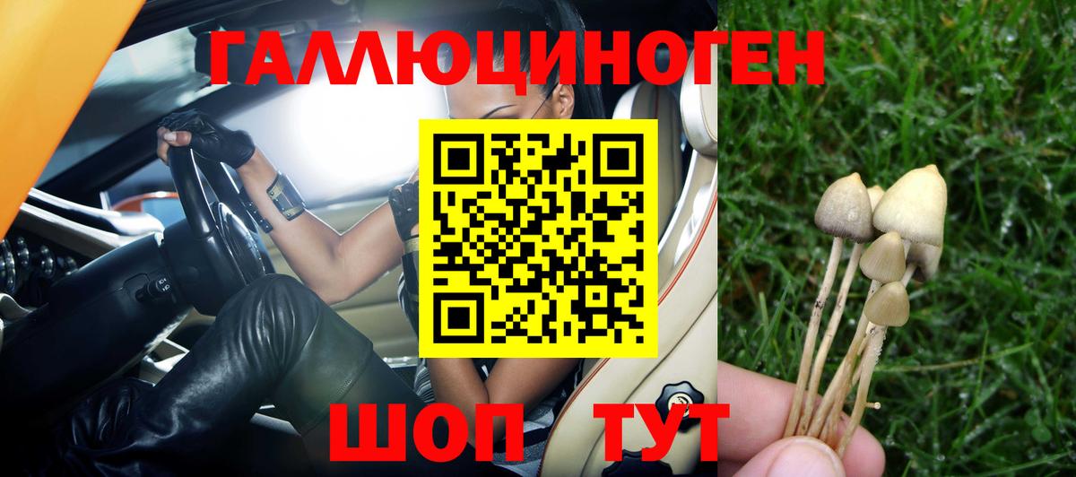 Псилоцибиновые грибы мухоморы Нарткала
